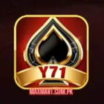 Y71 game logo